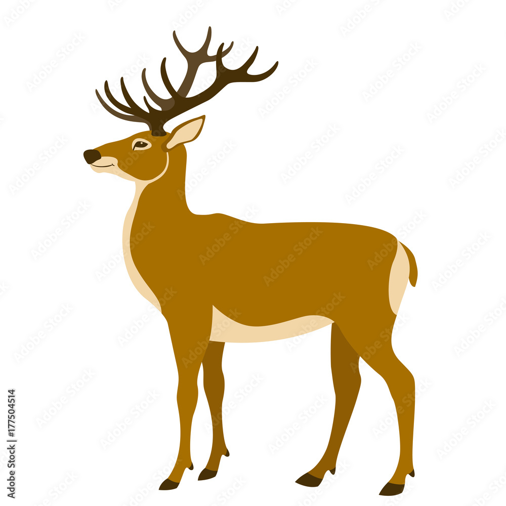 Fototapeta premium deer vector illustration flat style profile side