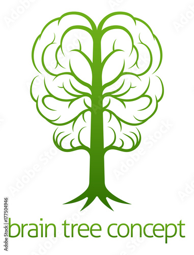 Brain Tree Concept