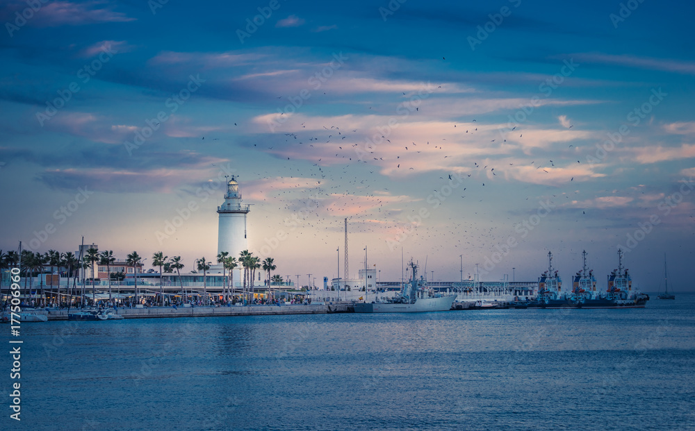 Obraz premium La falora de Malaga