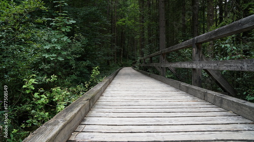 Brücke