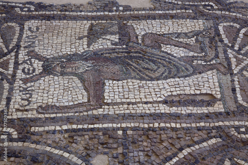 ペトラ遺跡のビザンチン教会の床のモザイク画