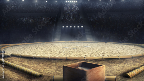 sumo professional arena in lights 3d rendering photo