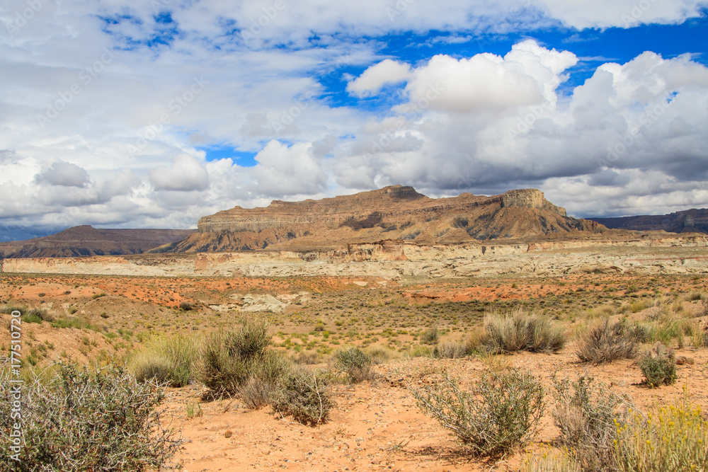 Fototapeta premium Remote Utah Landscape