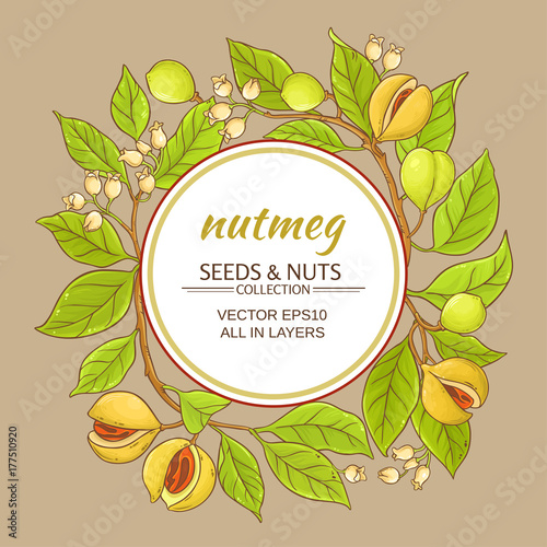 nutmeg vector frame