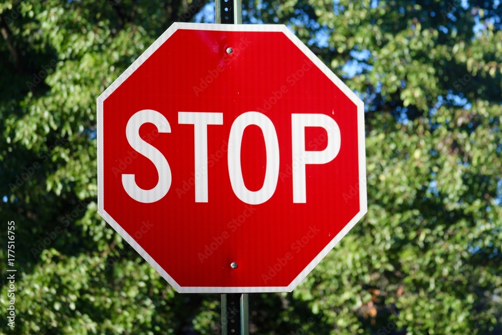 The red stop sign with the leaves in the background and on a close up view. The red stop sign with the leaves in the background and on a close up view.