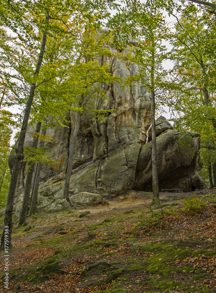 rocks among beech forest of autumn. Dovbush Cliffs Landscape Park, Carpathians, Ukraine rocks among beech forest of autumn. Dovbush Cliffs Landscape Park, Carpathians, Ukraine