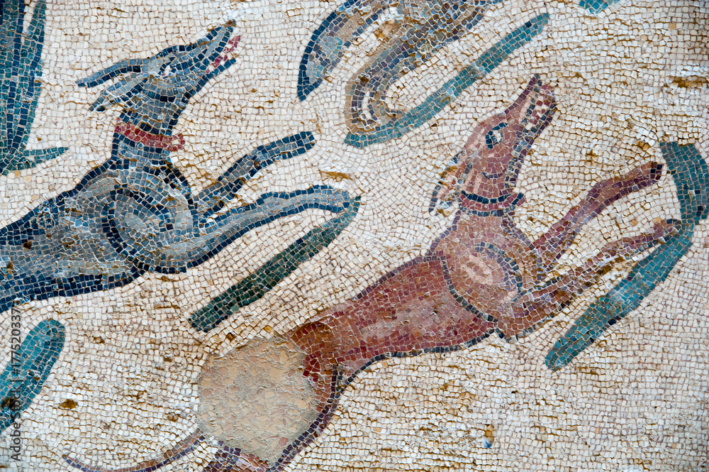 Old roman mosaics