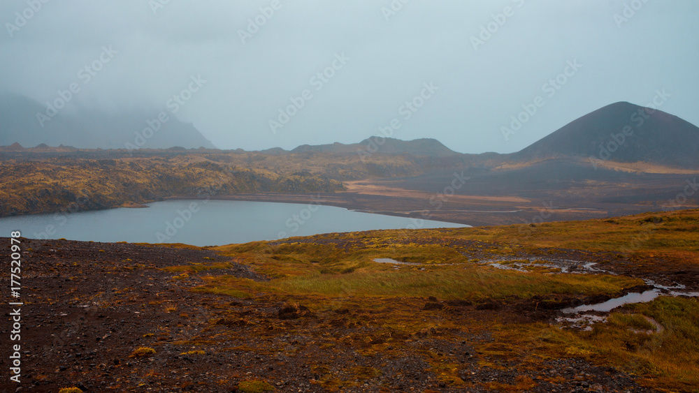Vast lava fields in Iceland.