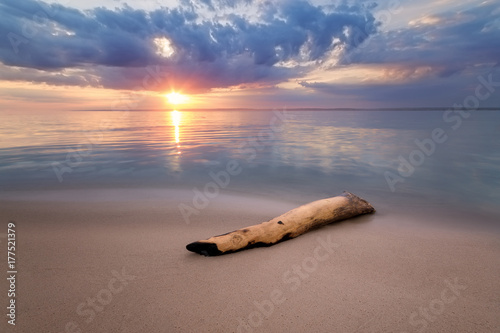 Wallpaper Mural dawn wild beach landscape / summer landscape wilderness morning Torontodigital.ca