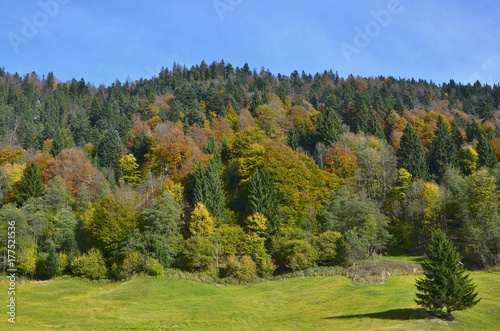 Herbstlicher Wald bei Gerold, Klais © traveldia