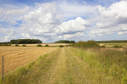 scenic bridleway and woodland