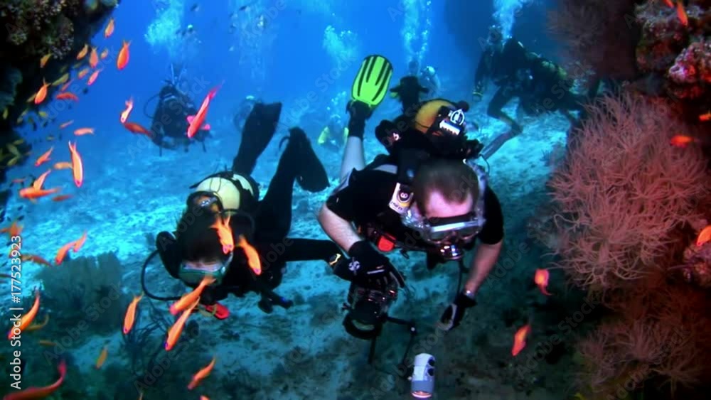 Scuba divers underwater on background of school fish in Maldives. Unique unusual video footage. Abyssal relax diving. Natural aquarium of sea and ocean. Beautiful animals.