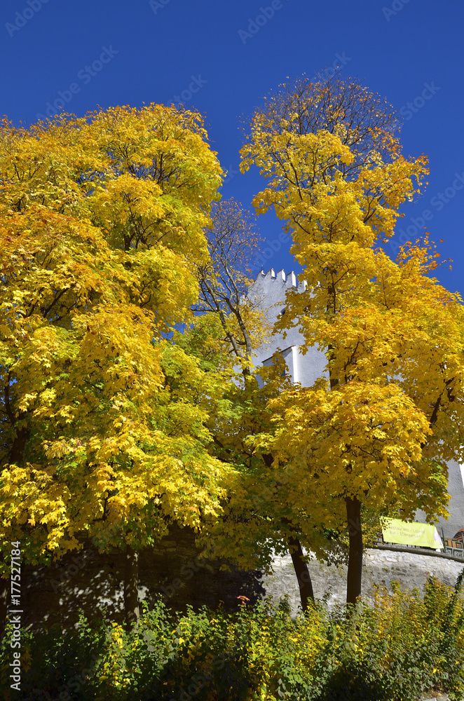Naklejka premium Schloss Murnau im Herbst
