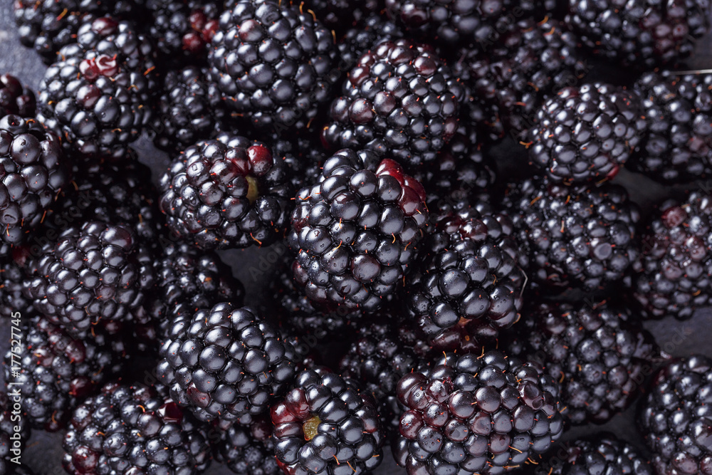 close up fresh blackberry on dark background. close up fresh blackberry on dark background.