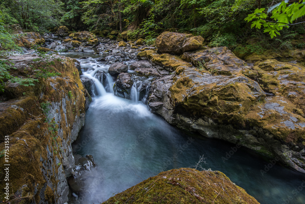 Water Cascading Over Mossy Rocks in Brice Creek Water Cascading Over Mossy Rocks in Brice Creek