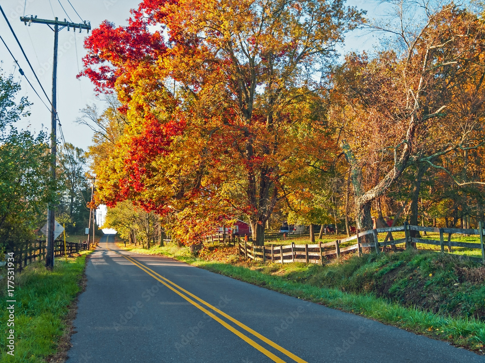 Autumn Country Road