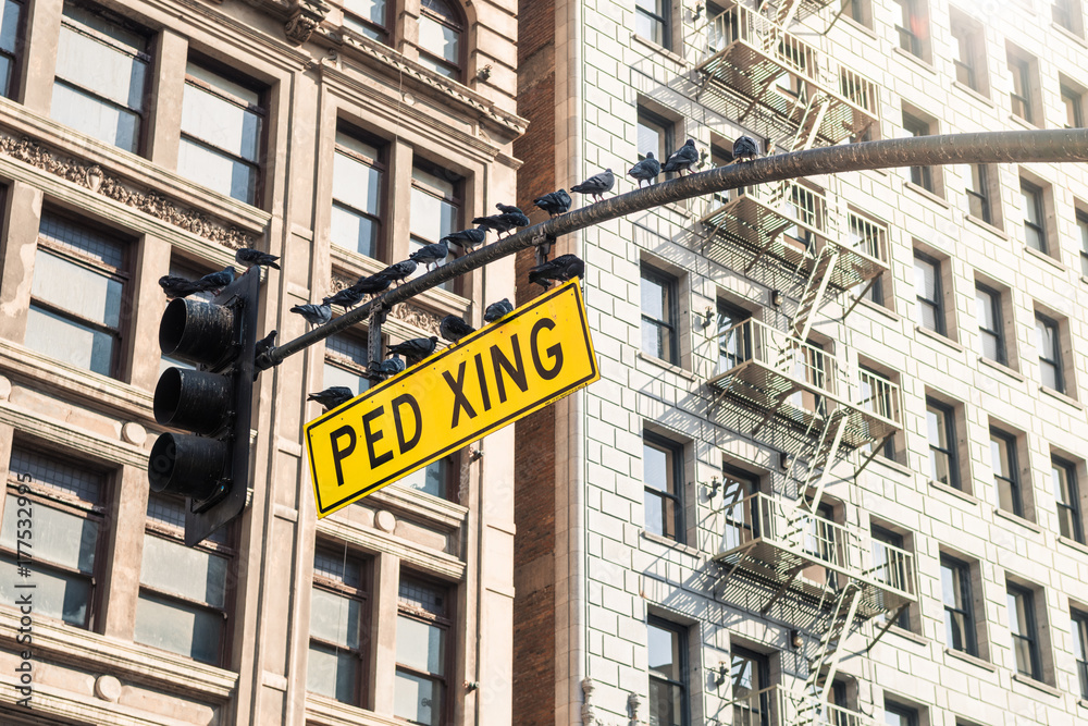 pedestrian crossing signal at hanging traffic light