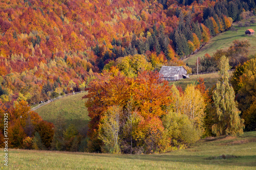 Beautiful autumn landscape in Transylvania