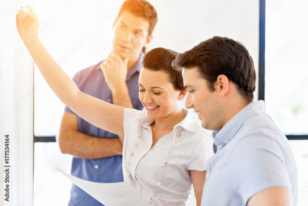 Fototapeta premium Business meeting with presentation