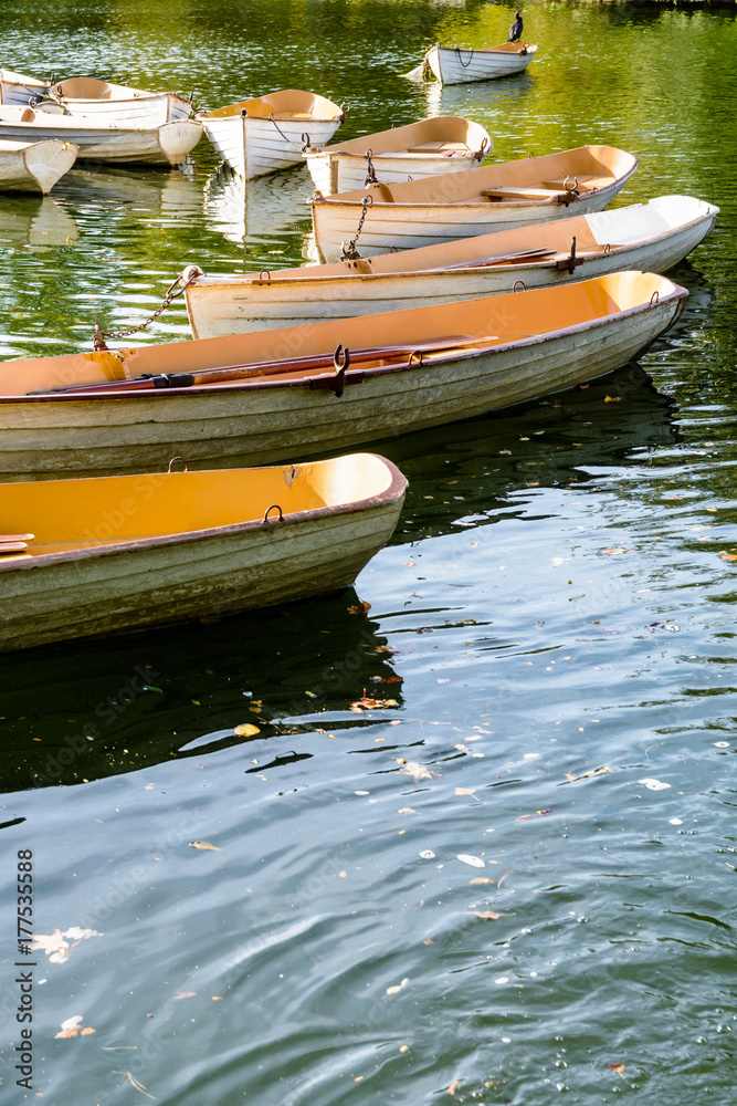 A fleet of rental rowboats bound to one another at the end of the day on the Lower Lake in the Bois de Boulogne in Paris.