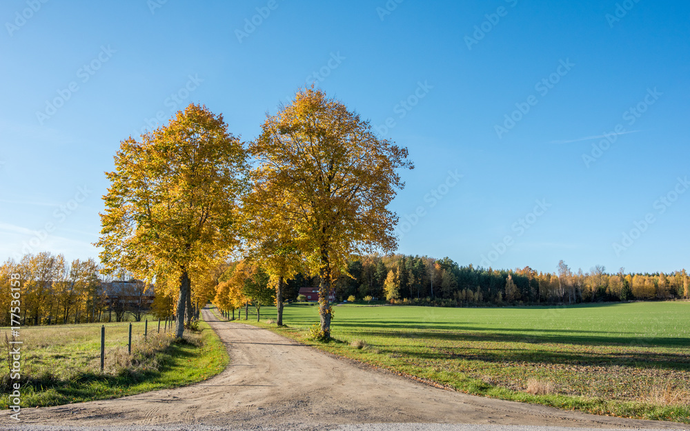 Autumn in the countryside of Ostergotland, Sweden on a sunny day in October 2017 Autumn in the countryside of Ostergotland, Sweden on a sunny day in October 2017