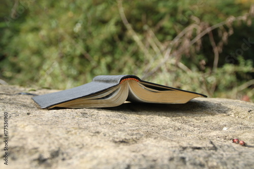 Buch auf dem Stein