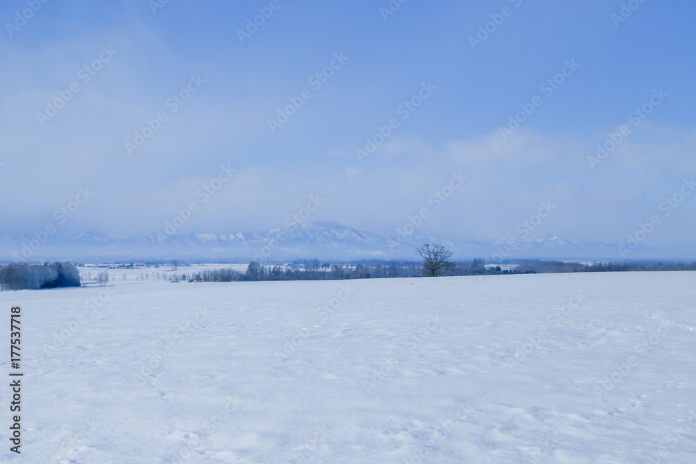 北海道の冬 北海道の冬