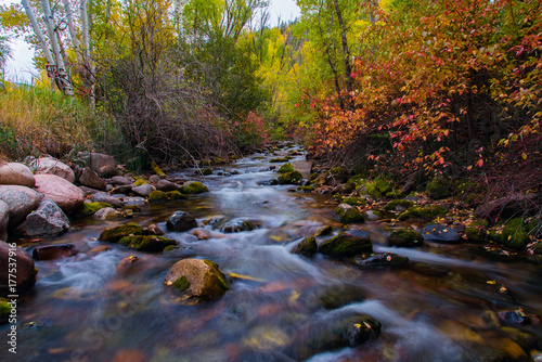 Fototapeta Naklejka Na Ścianę i Meble -  Beautiful  Colorado Mountain Stream with Autumn Colors