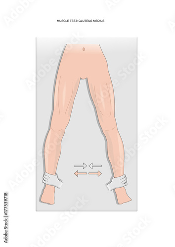 muscle test: gluteus medius. Test used in kinesiology, neurology, physiotherapy