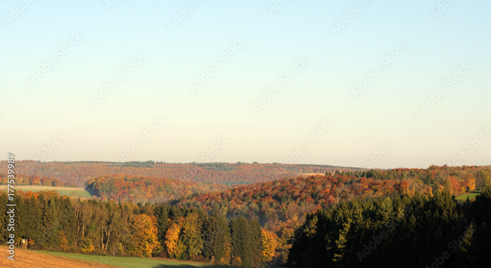 Blick über Herbstwald