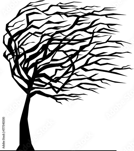 Silhouette of tree bent by the wind