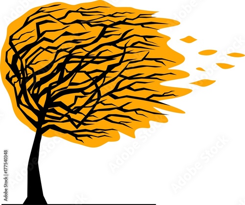 Silhouette of tree bent by the wind