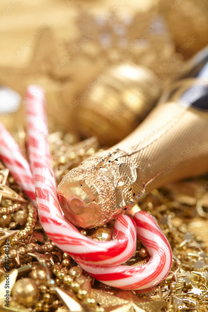 Obraz premium New Year concept