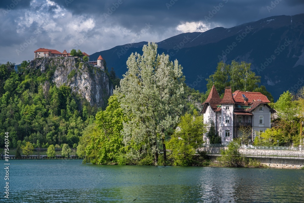 Fototapeta premium Jezioro Bled wiosną