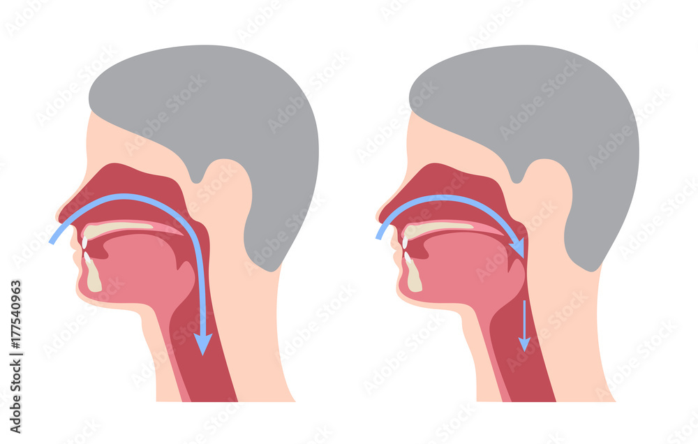 Naklejka premium a snoring infographic / vector