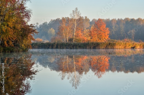 Beautiful autumn landscape. Colorful trees by the lake.