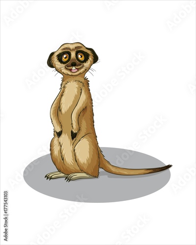 Little cute Mink - vector drawing - isolate white background