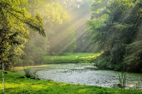 Beautiful summer morning landscape. Pond with sunshine in the urban park.