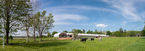 Farm and Cows © Robert