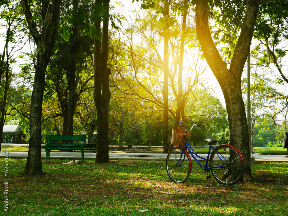 A peaceful morning bike ride in a park with flare light