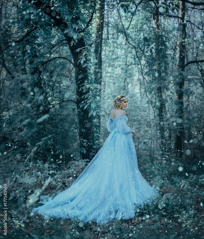 fantasy girl princess is winter. The Queen in luxurious blue long medieval glamour dress bears cold walk in wood, forest, tree fall snow. Artistic Photo. Woman snow queen. Back rear view, go away fantasy girl princess is winter. The Queen in luxurious blue long medieval glamour dress bears cold walk in wood, forest, tree fall snow. Artistic Photo. Woman snow queen. Back rear view, go away