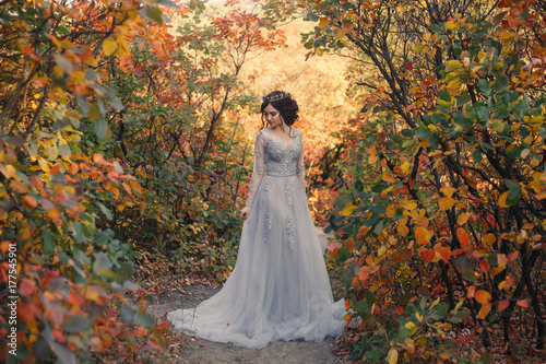 Wallpaper Mural A young princess walks in a beautiful silver dress. The background is bright, golden autumn nature. Artistic Photography Torontodigital.ca
