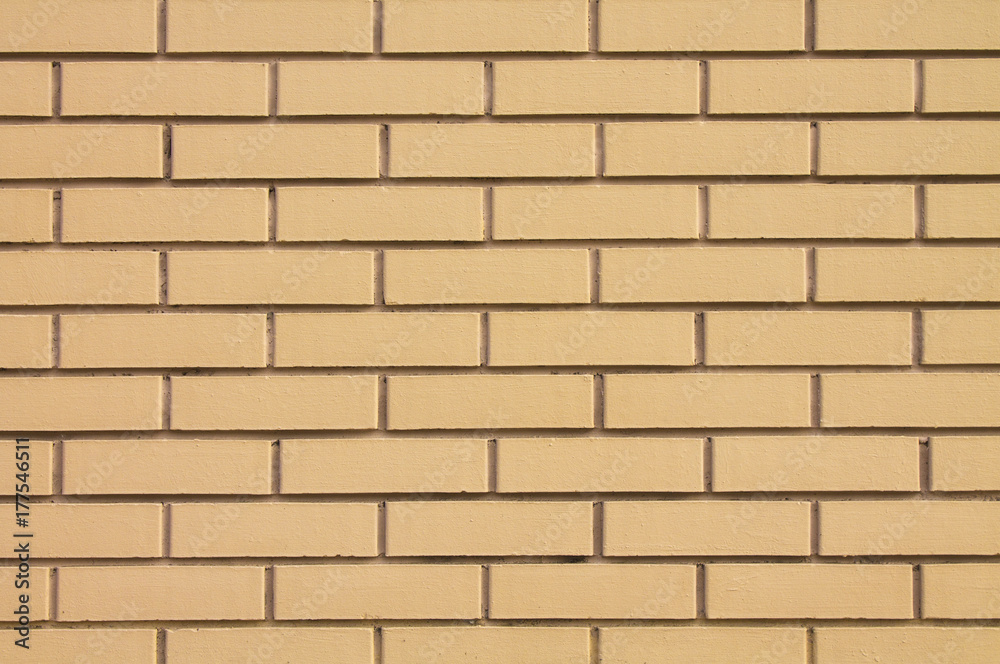 A new wall of brown brick for the background. A new wall of brown brick for the background.
