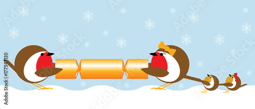 robin family pulling a christmas cracker