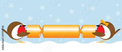 robins pulling a christmas cracker