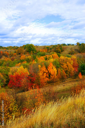 Autumn landscape, beautiful yellow and red trees, road, mountainous area against the cloudy sky. Weather, steppe, grass