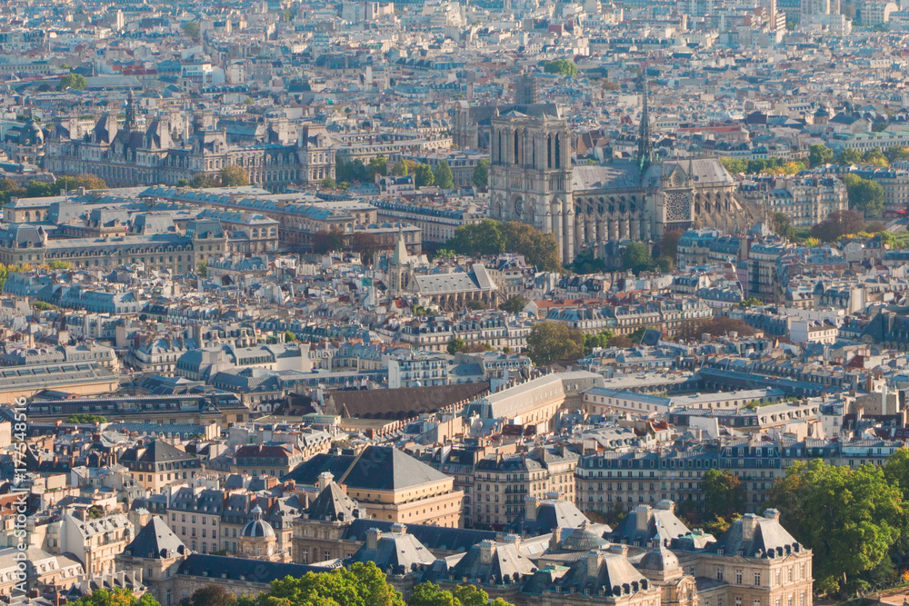 Birdeye view of Paris roofs with Notre Dame cathedral, France