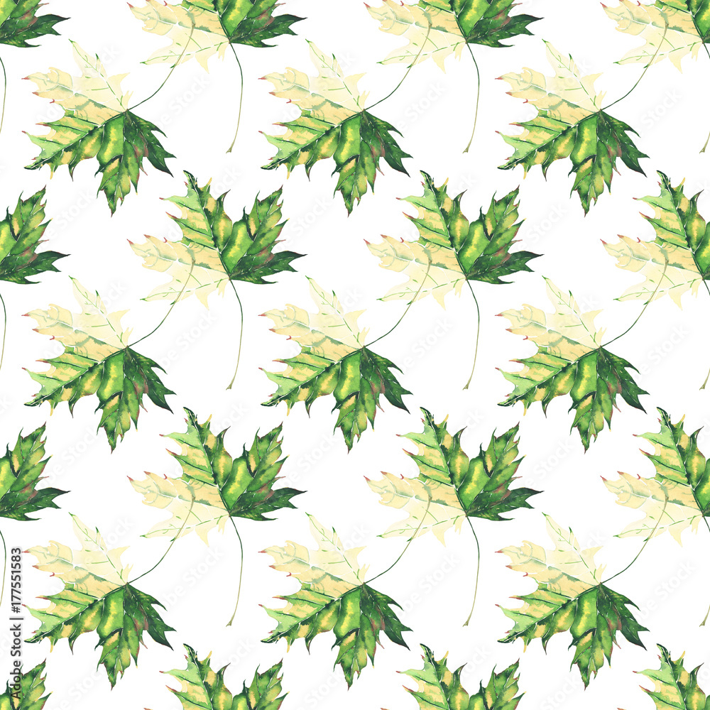 Beautiful bright graphic tender herbal floral autumn green and yellow maple leaves pattern watercolor hand illustration. Perfect for textile, wallpapers, wrapping paper, greetings card