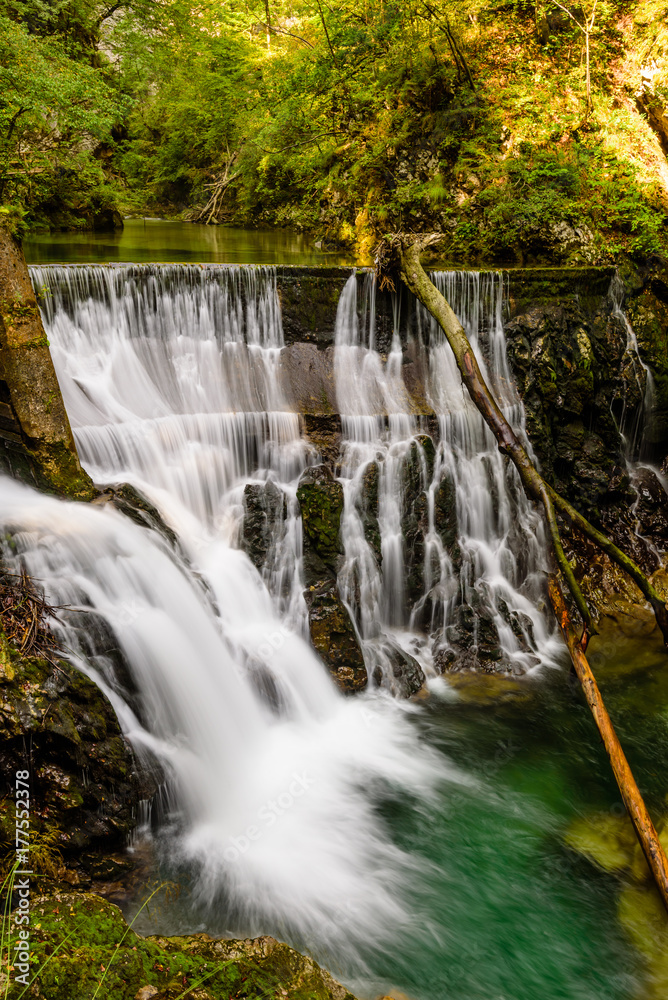 Obraz premium Waterfall at the Vintgar gorge, beauty of nature, with river Radovna flowing through, near Bled, Slovenia.
