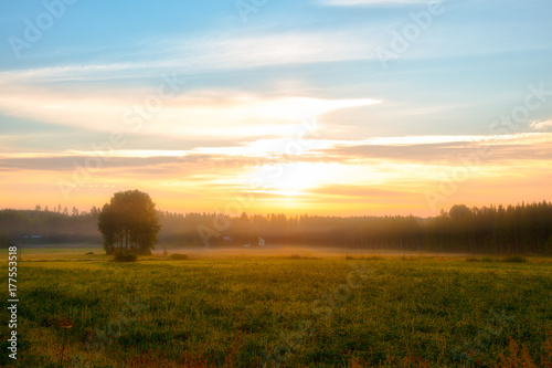 Summer landscape - field, grass, house, tree, forest, fog in the morning